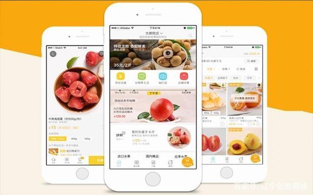 沈阳app定制开发:生鲜商城app开发让购买更便利