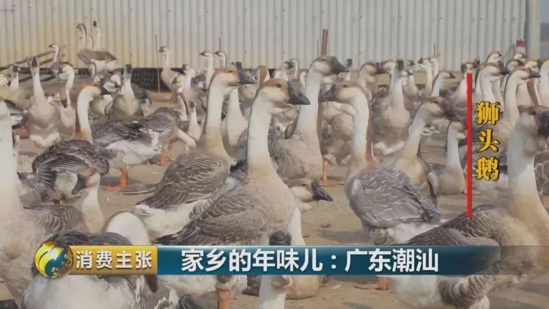 福建美食潮汕地区介绍_福建潮汕地区美食_福建美食潮汕地区图片